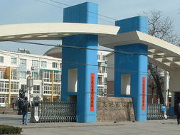 河南高达工程管理咨询有限责任公司 卓越工程管理咨询服务的引领者